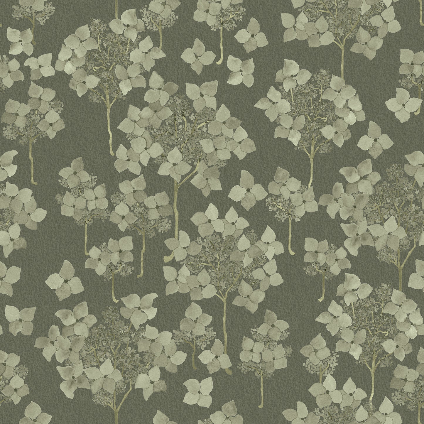 Hortensia