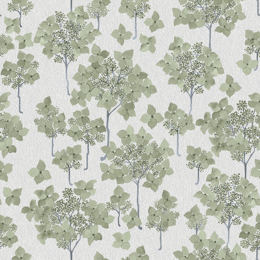 Hortensia