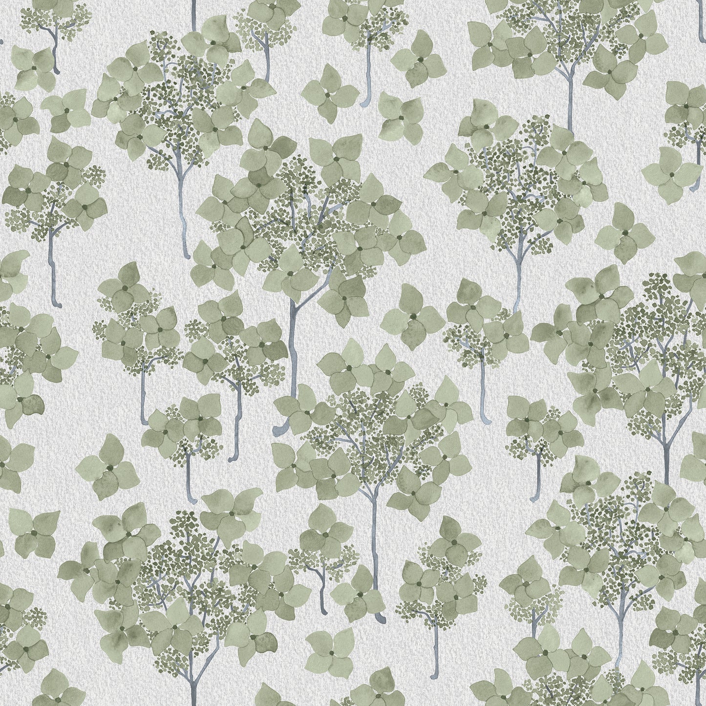 Hortensia