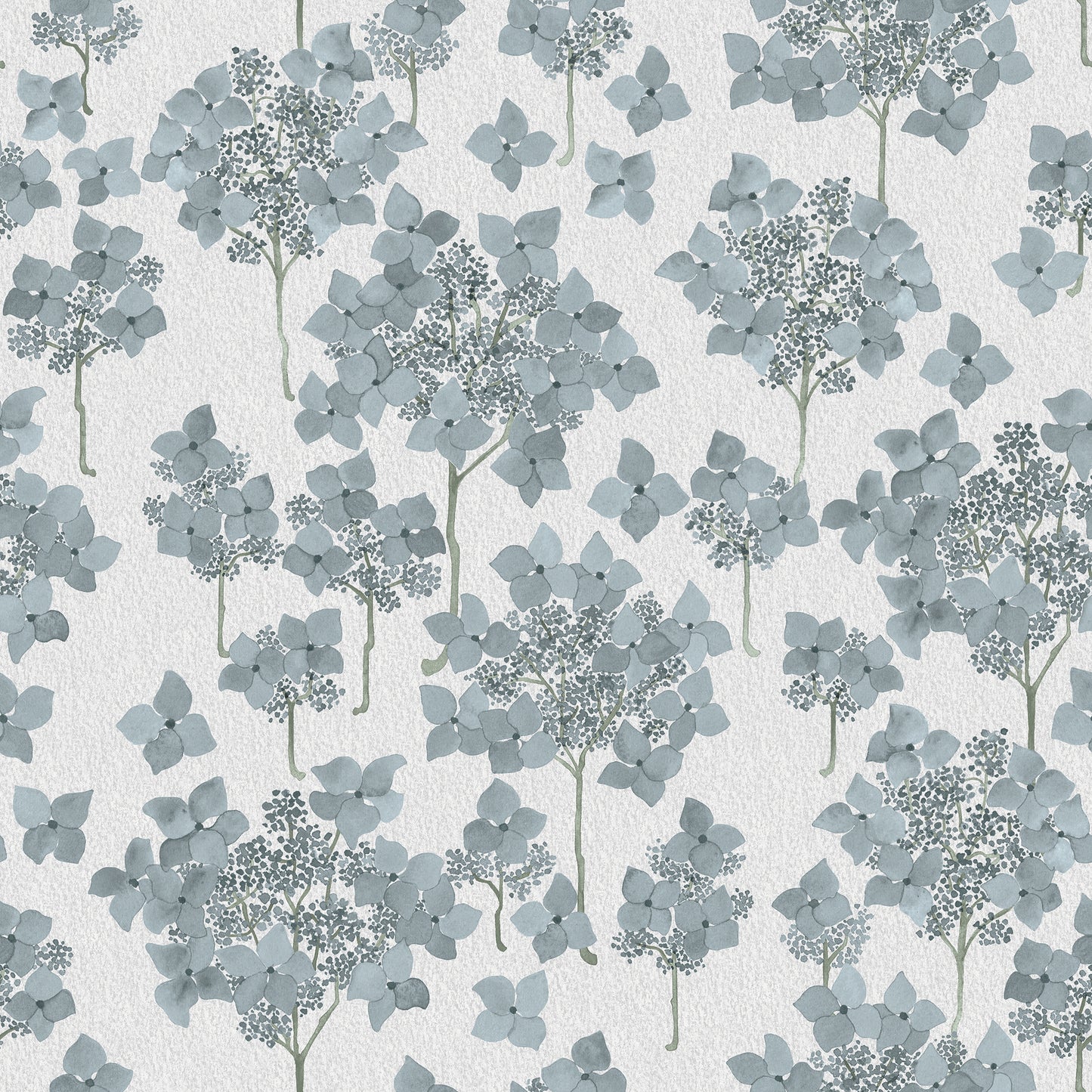 Hortensia