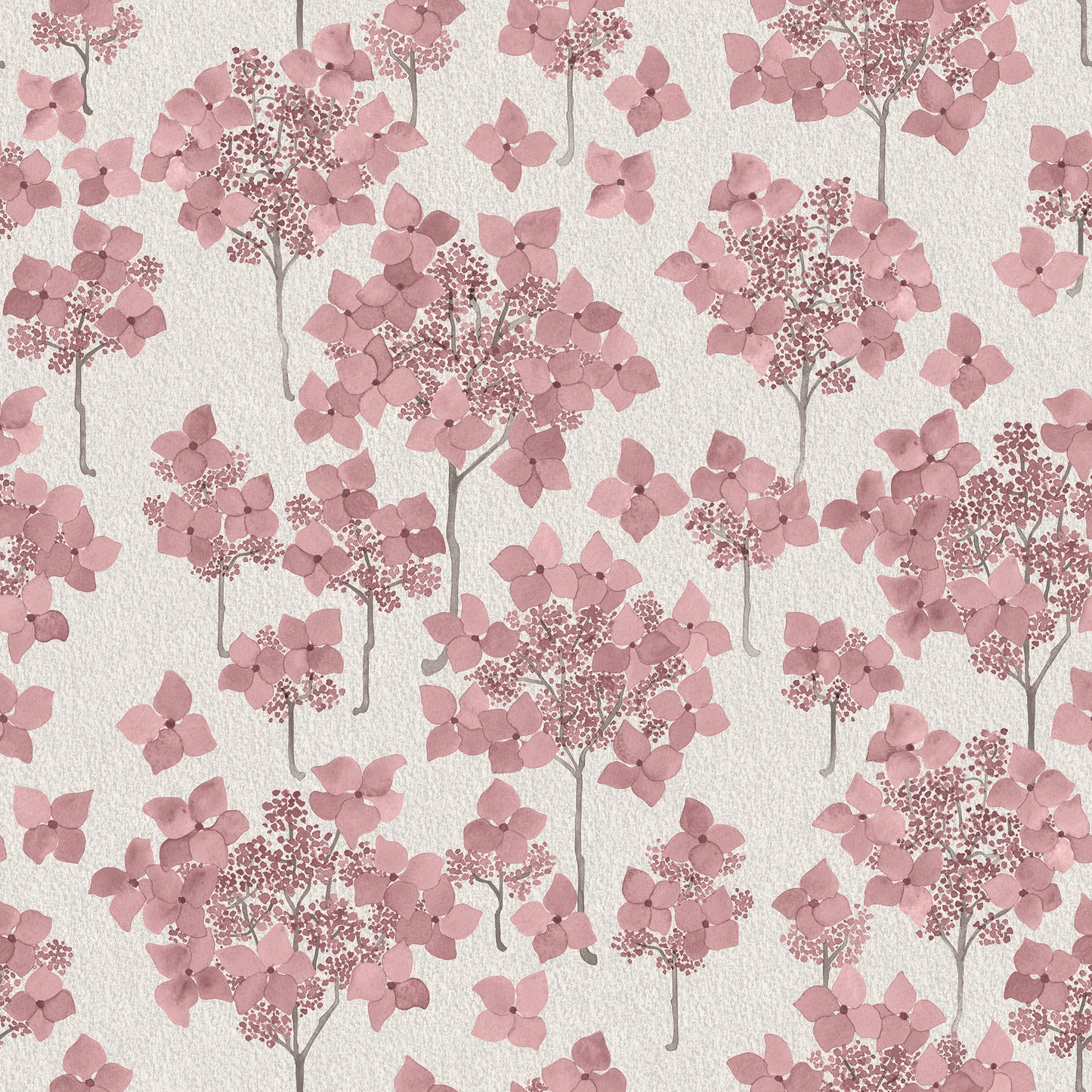 Hortensia