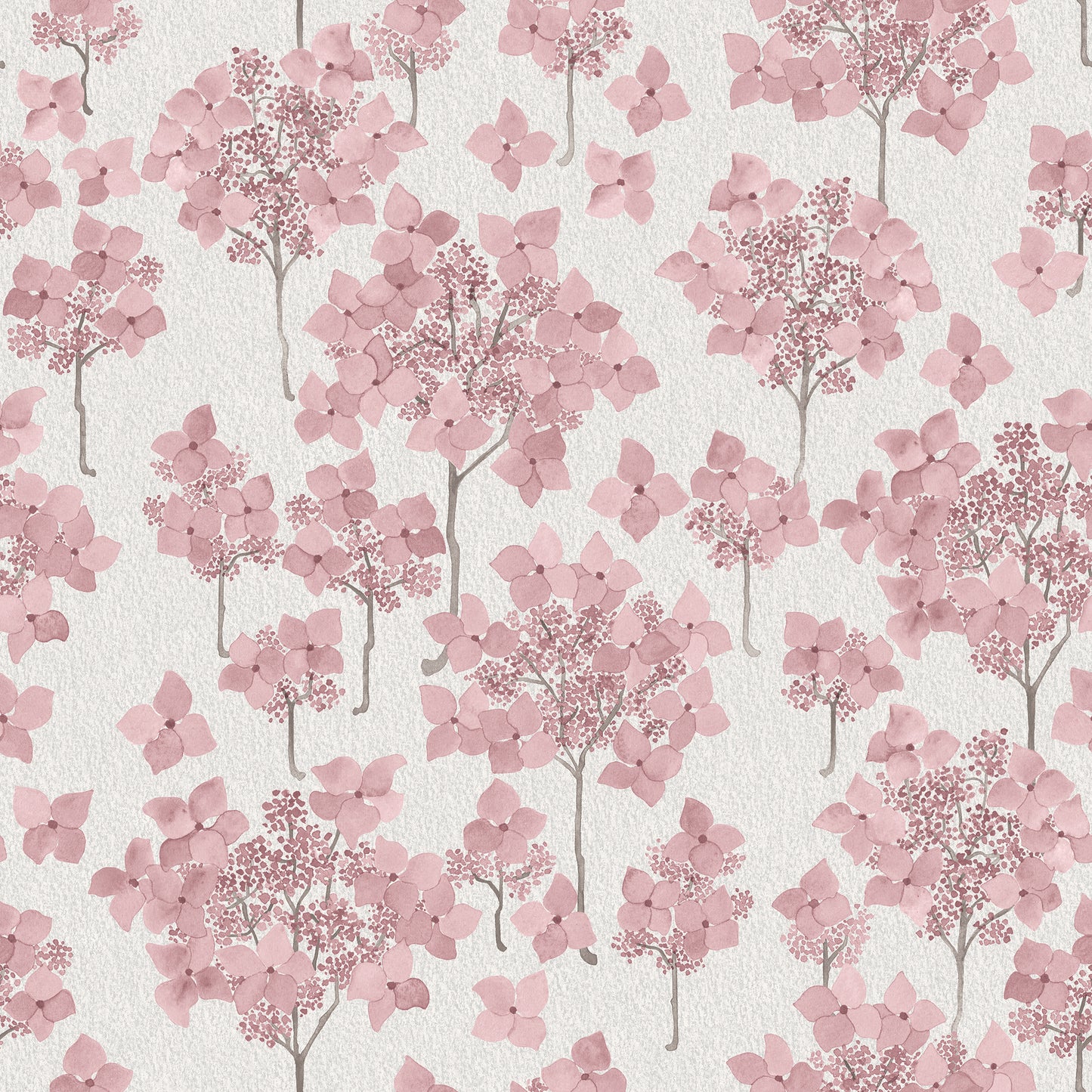 Hortensia