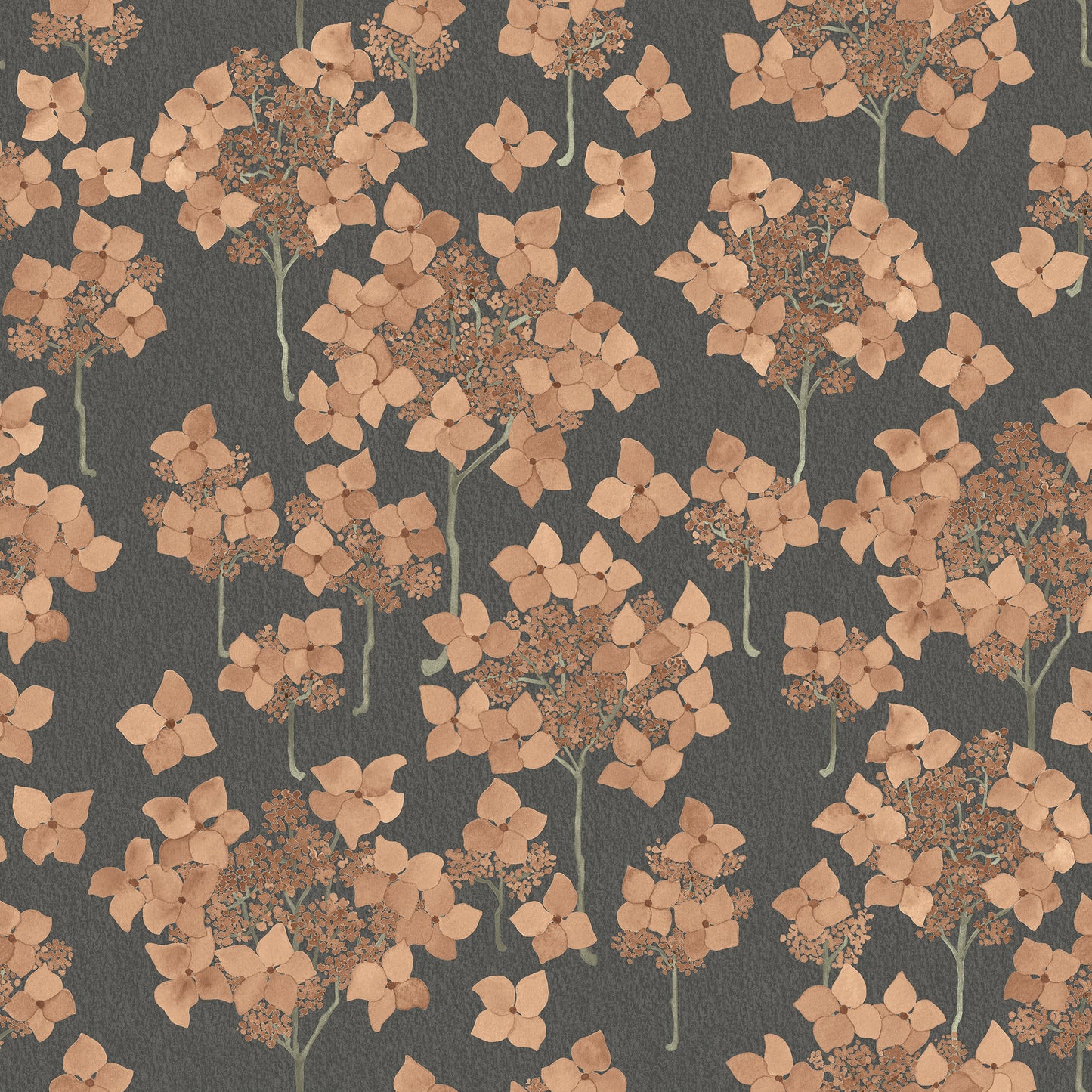 Hortensia